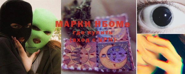 гашик Бородино