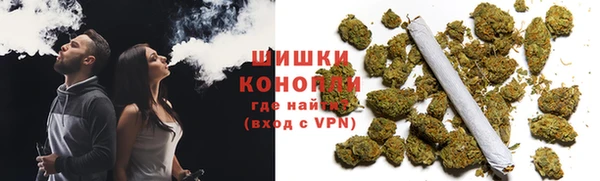 гашик Бородино