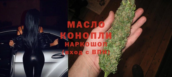 гашик Бородино