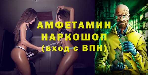 гашик Бородино