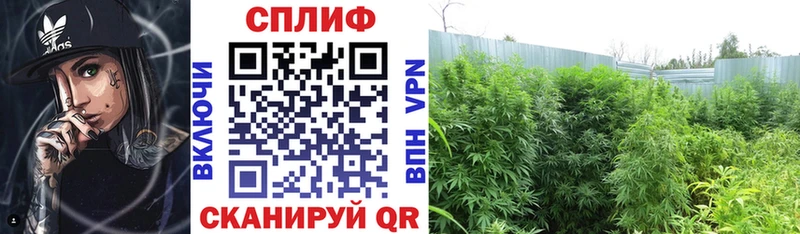 Бошки Шишки ГИДРОПОН Кирово-Чепецк